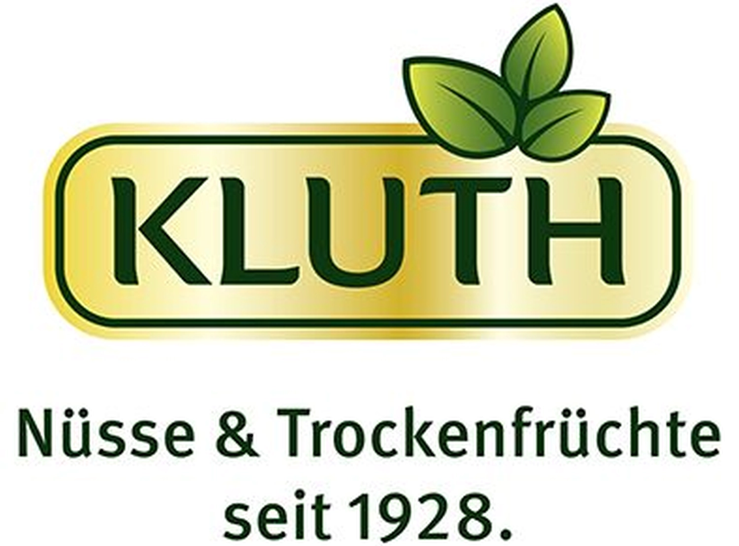 Kluth logo